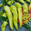 Hungarian Hot Wax Pepper Seeds | Hot Peppers Seeds