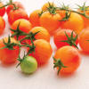 Tropical Sunset Organic Tomato - Vegetables | Veseys